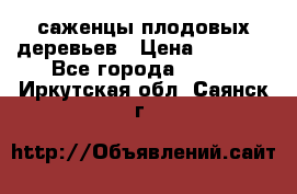 саженцы плодовых деревьев › Цена ­ 6 080 - Все города  »    . Иркутская обл.,Саянск г.